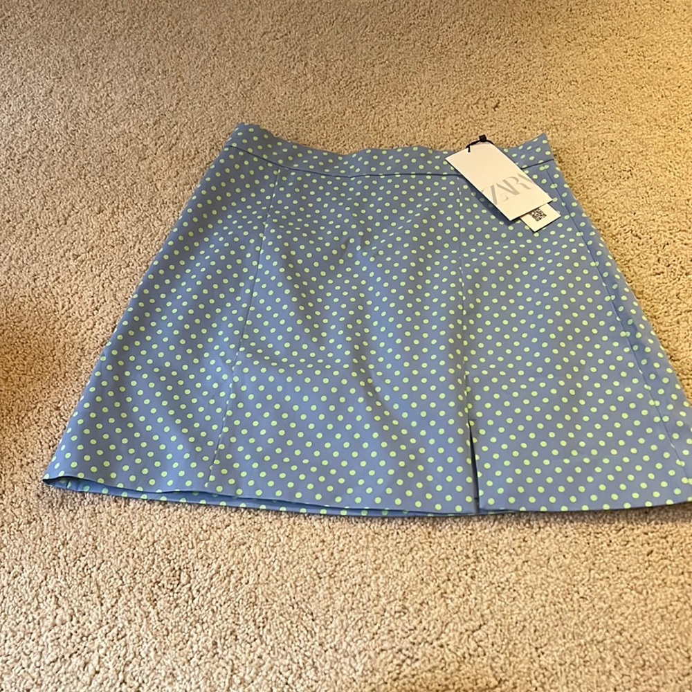 Zara skirt
